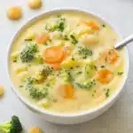 cheesy-vegetable-chowder