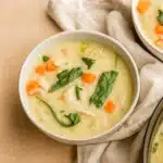 creamy turkey orzo soup in a rustic bowl